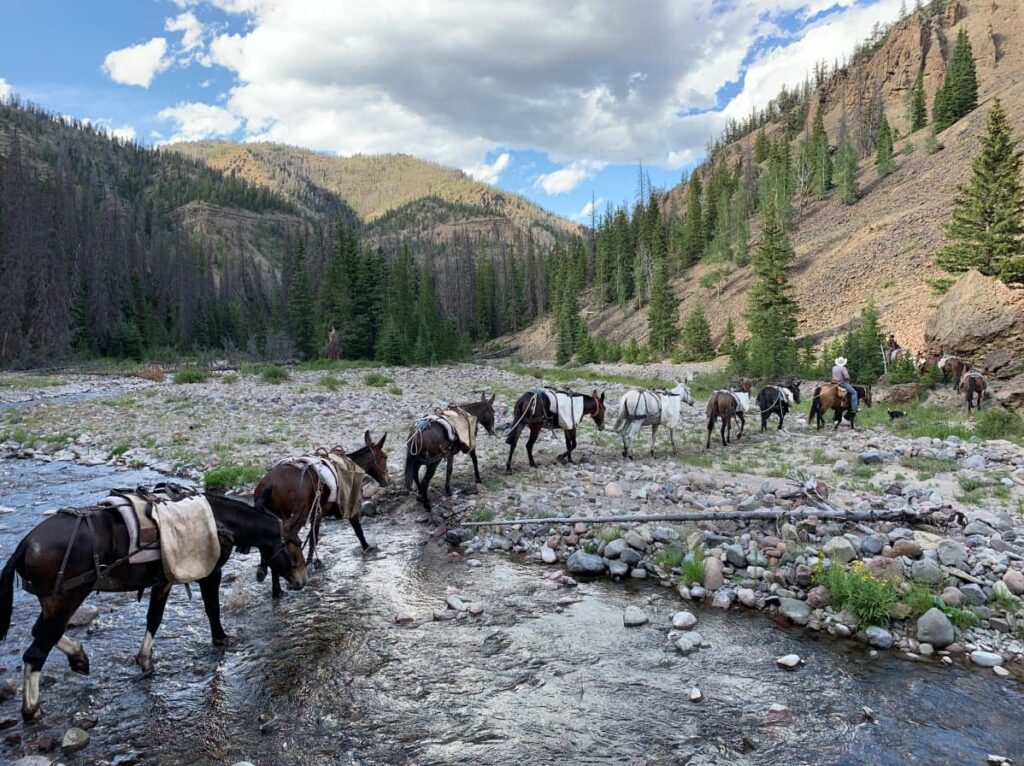 historic Nez Pierce trail ride