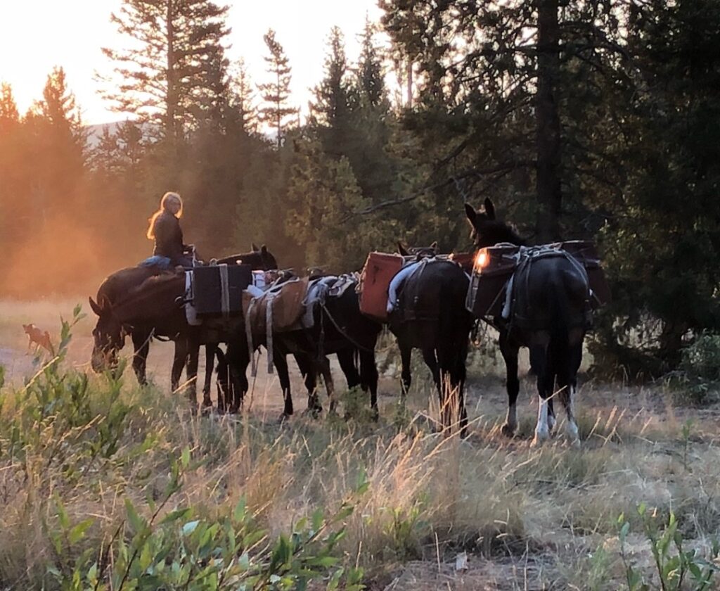 Grand Tetons horseback riding experience