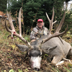 Premier guided elk hunts in Wyoming