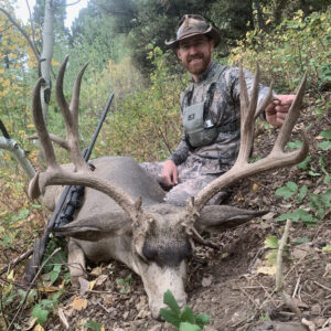 Best elk hunting outfitters in wyoming