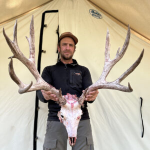 Top-rated elk hunting trips Wyoming
