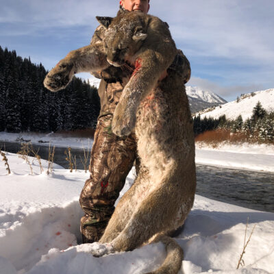 Trusted mountain lion hunting outfitters