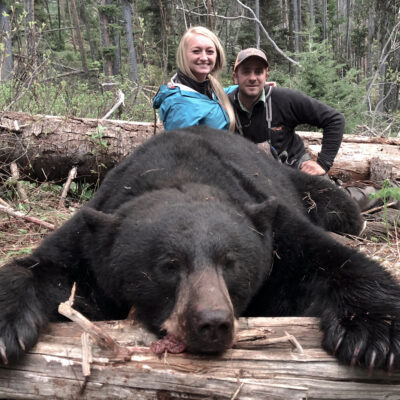 Top Wyoming black bear hunting trips