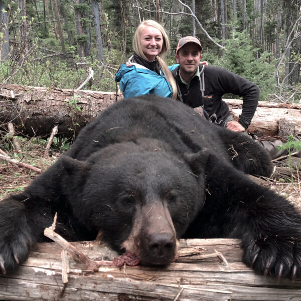 Top Wyoming black bear hunting trips