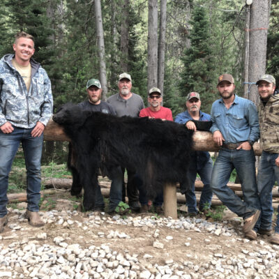 Wyoming black bear hunting outfitters