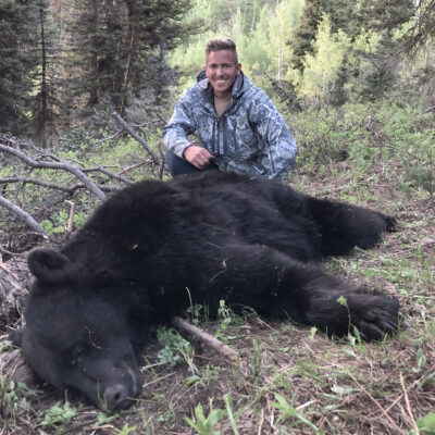 Guided black bear hunts in Wyoming