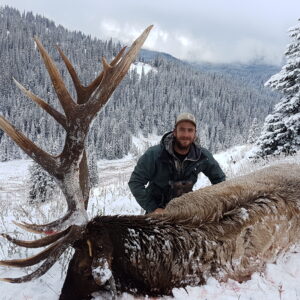 Guided wilderness elk hunts Wyoming