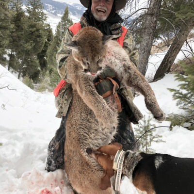 Professional mountain lion hunting guides