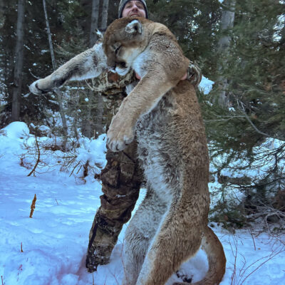 Premier mountain lion hunting outfitters