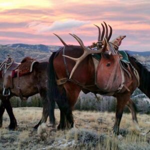 Overnight horseback riding trips