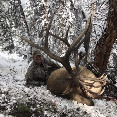 Wilderness elk hunting expeditions Wyoming