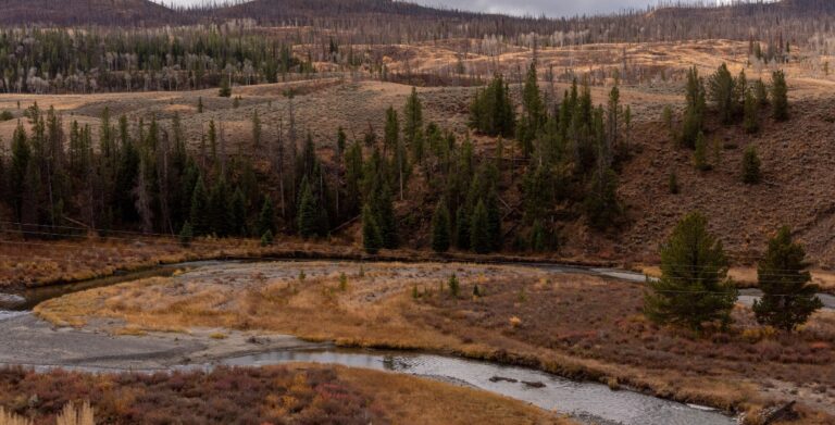 What Makes Jackson Hole a Top Destination for Outdoor Adventures