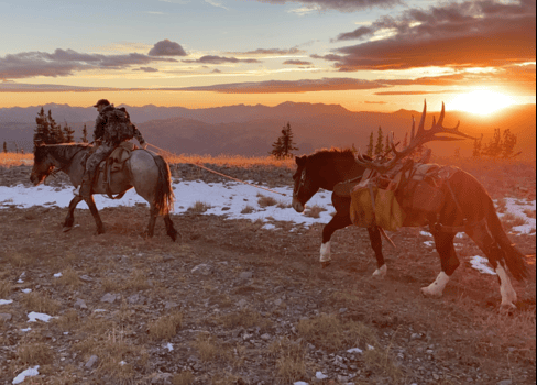 Why Choose Overnight Horseback Riding Trips