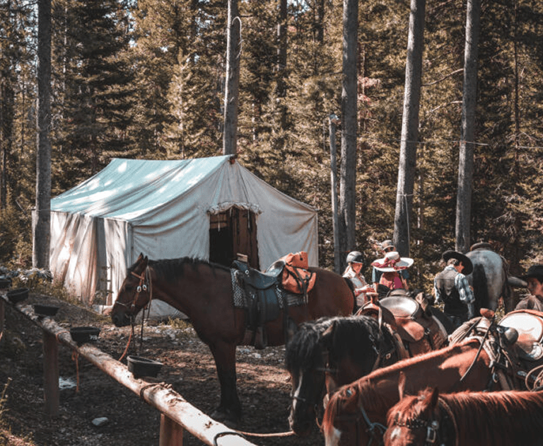 Outdoor Adventures Perfect for All Ages