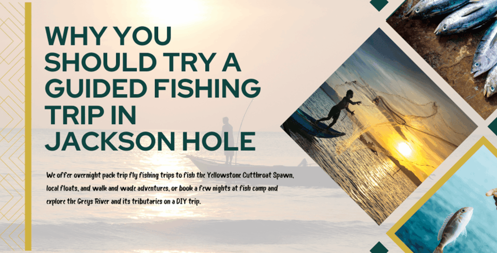 Why You Should Try a Guided Fishing Trip in Jackson Hole