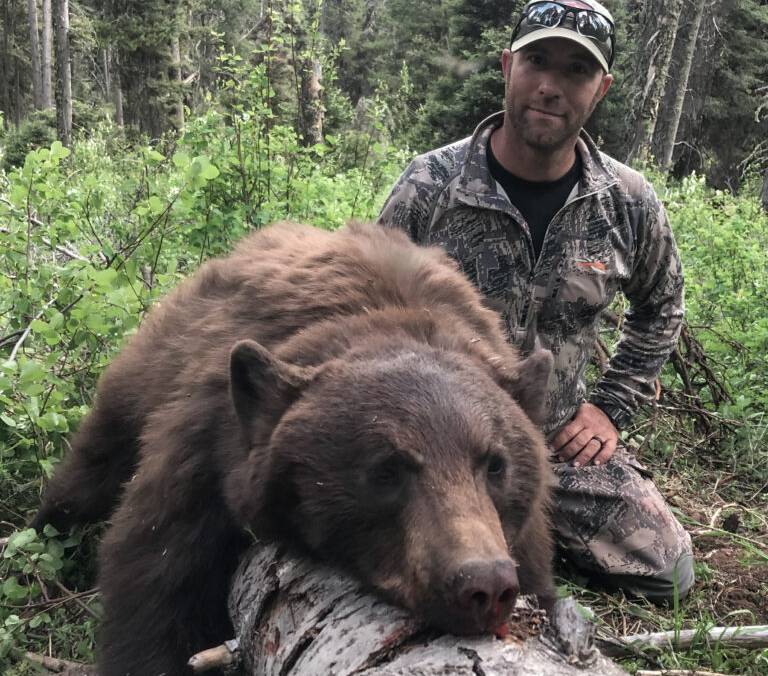 How to Plan a Successful Guided Bear Hunt in Wyoming