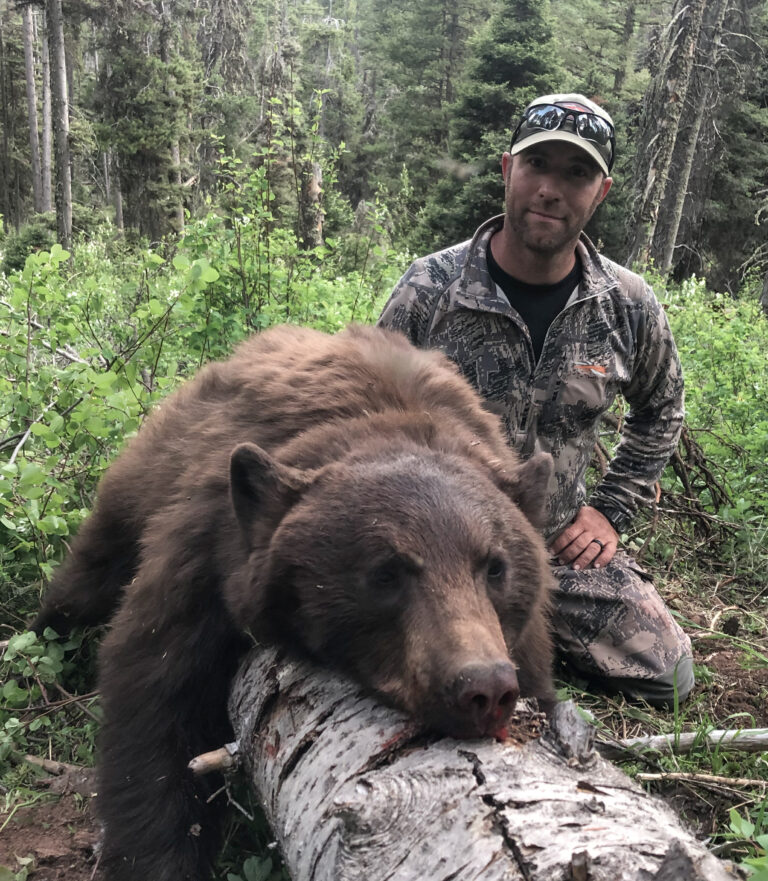 Wyoming black bear hunts