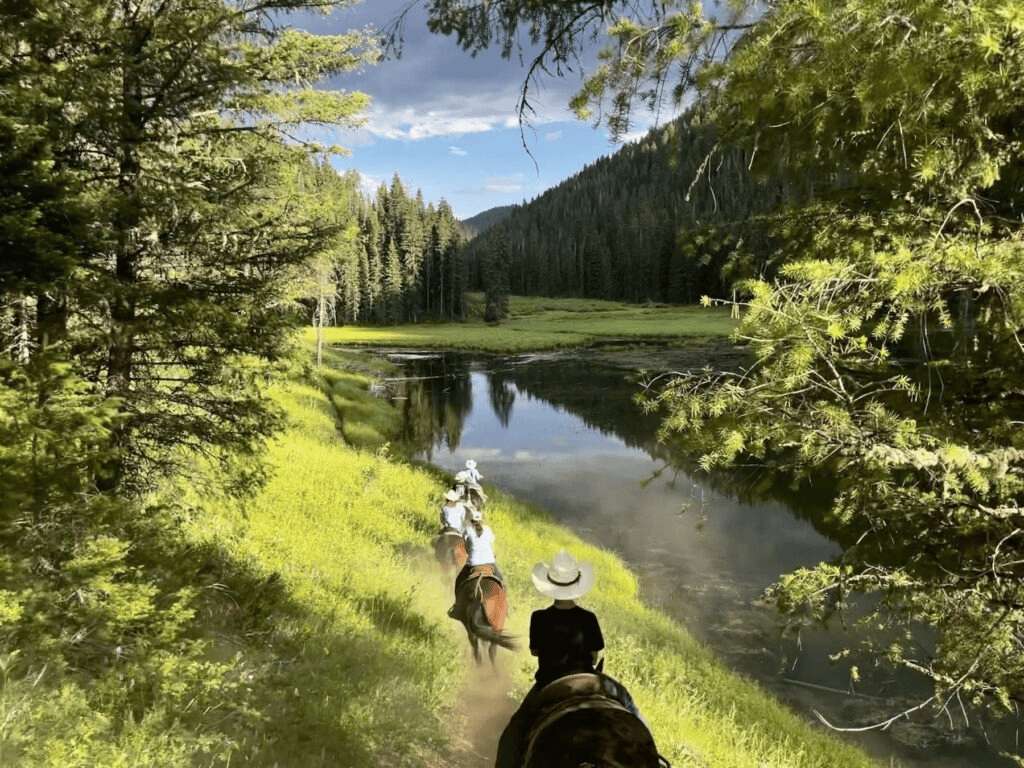 Horseback Adventures