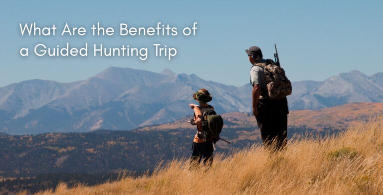 What Are the Benefits of a Guided Hunting Trip