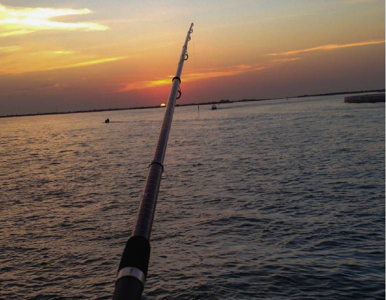 Planning Your Successful Salt River Fishing trip