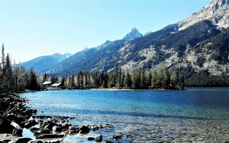 Surviving and Thriving in the Backcountry