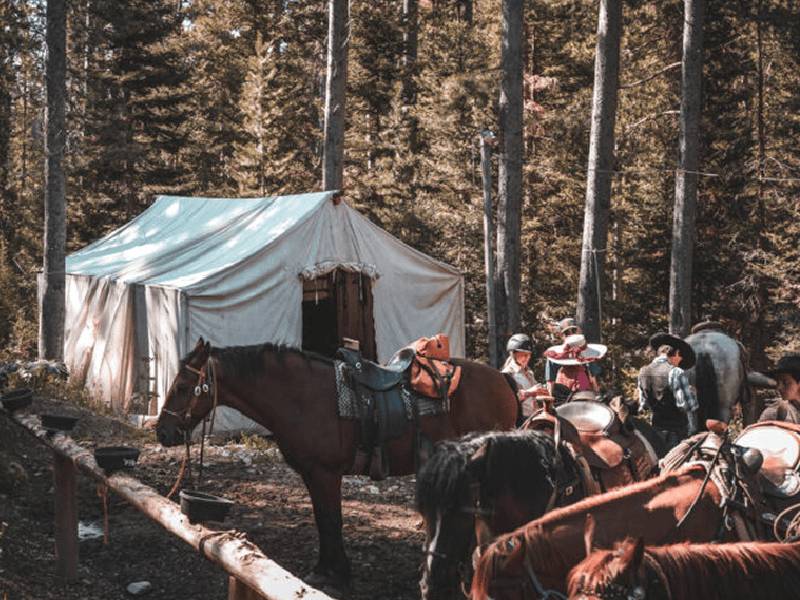 Camaraderie and Connection_ The Social Magic of Wilderness Experiences