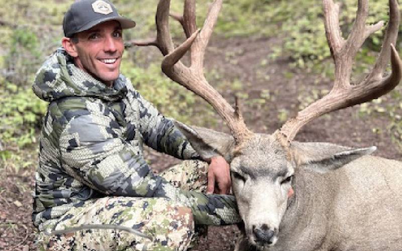 Elk and Mule Deer Hunting Windows