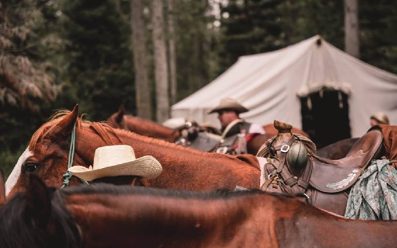 Guided Horseback Riding and Multi-Day Adventures