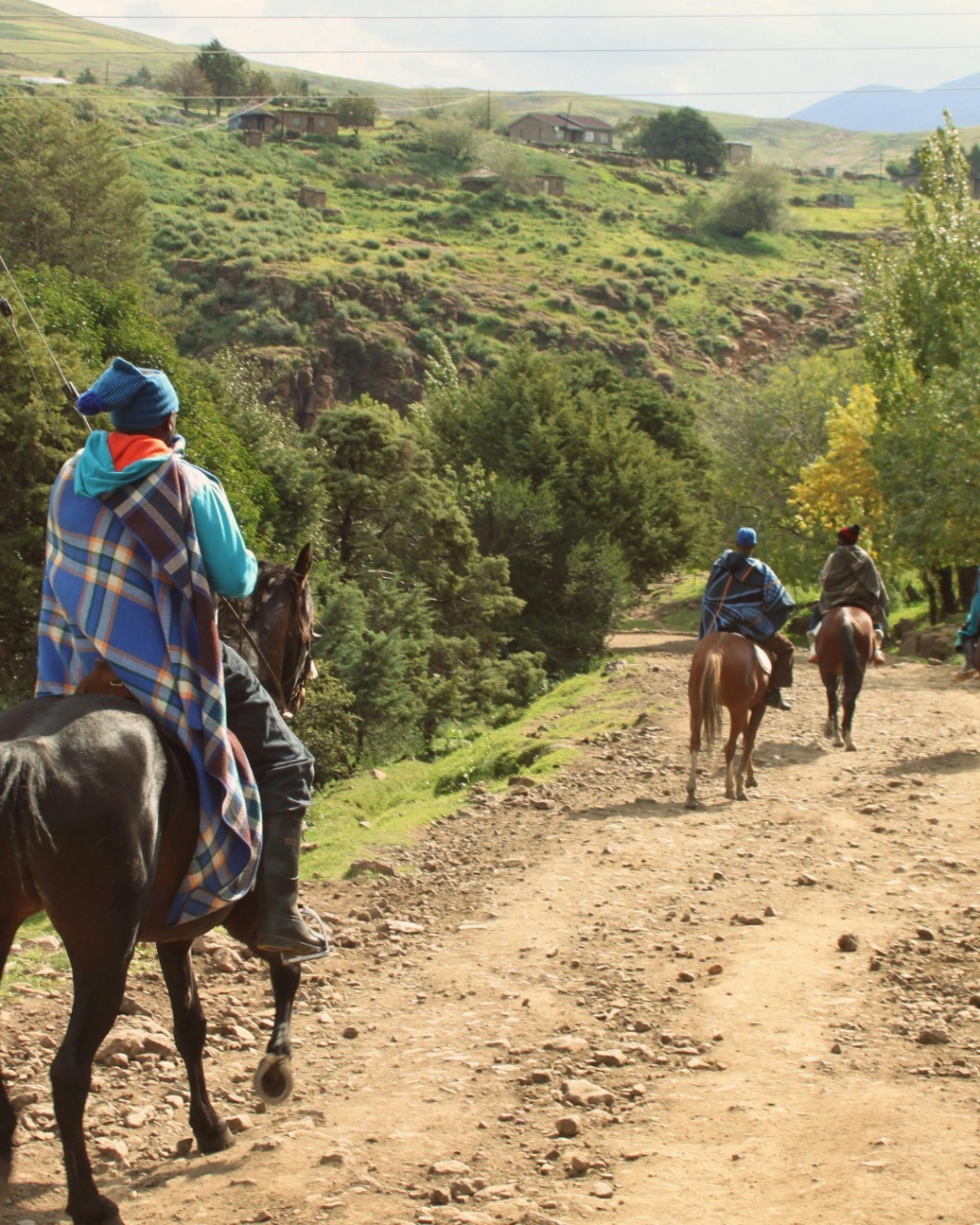 Immersive Outdoor Adventures in Jackson hole