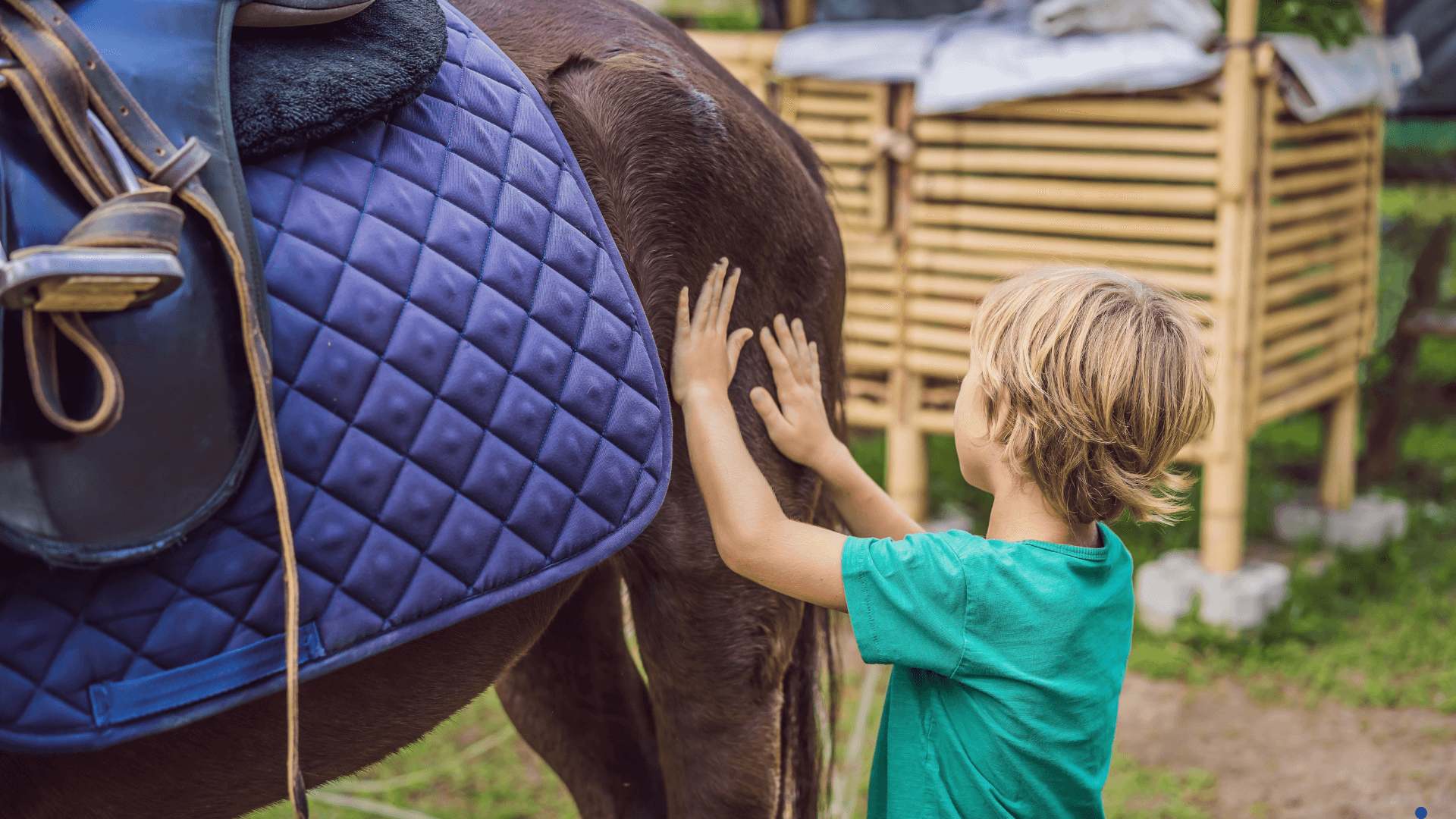 Making the Most of Jackson Hole Horseback Riding