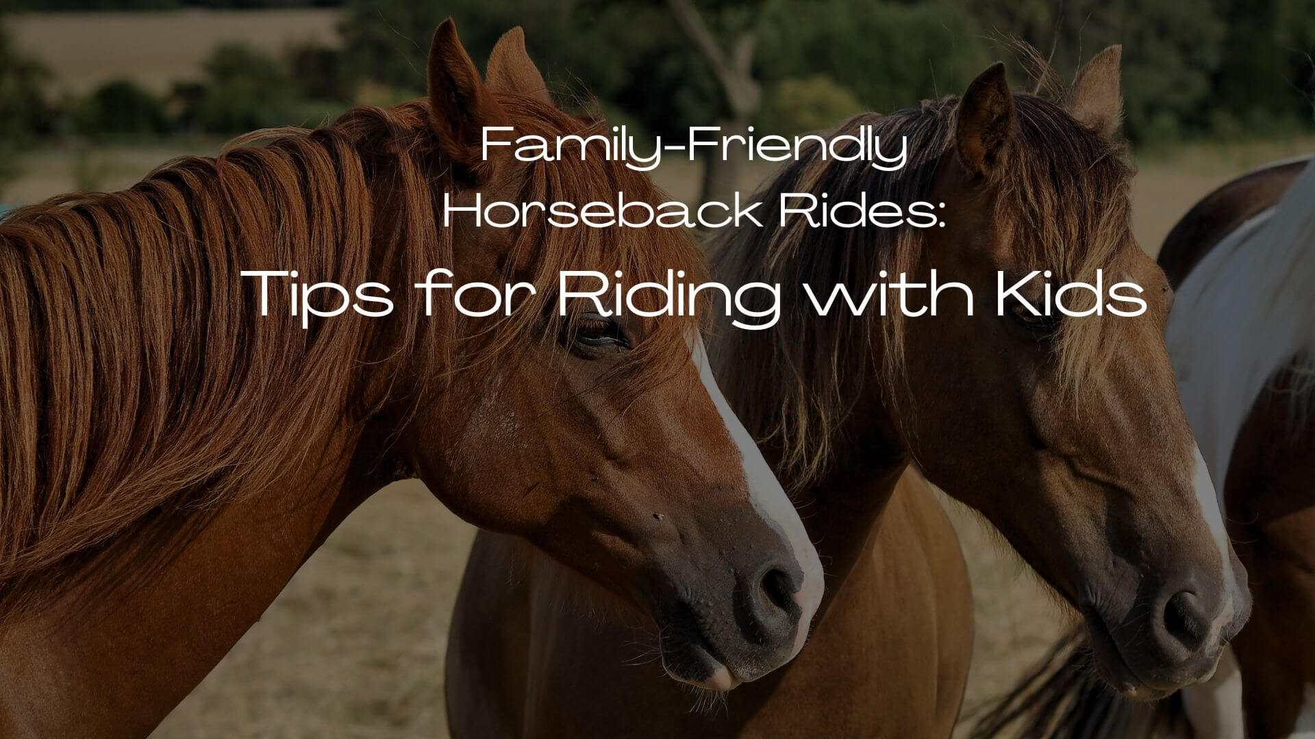 Tips for Riding with Kids