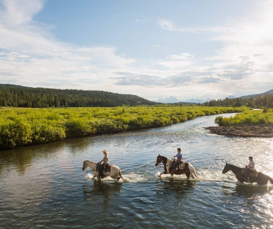 Why Jackson Hole Is the Ideal Destination