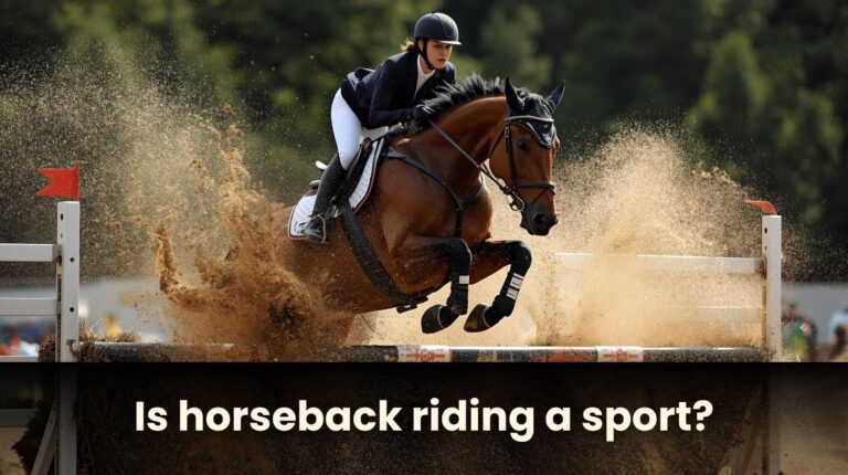 Is horseback riding a sport