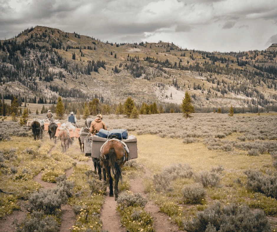 Backcountry Horseback Trips & Western Pack Experiences