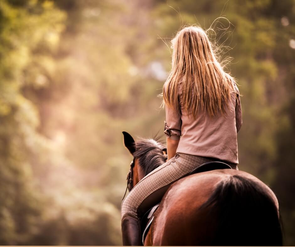 Why Hunters Still Rely on Horses in Wyoming's Backcountry