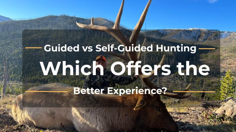 Guided vs Self-Guided Hunting Which Offers the Better Experience