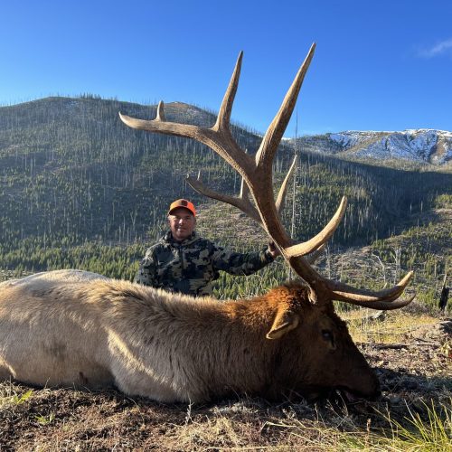 image_50436097 Wyoming wilderness elk hunting trips